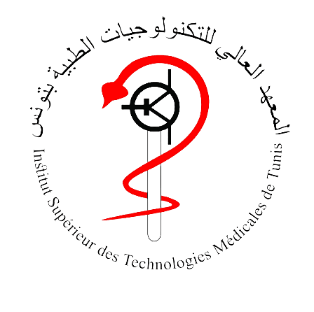 ISTMT logo